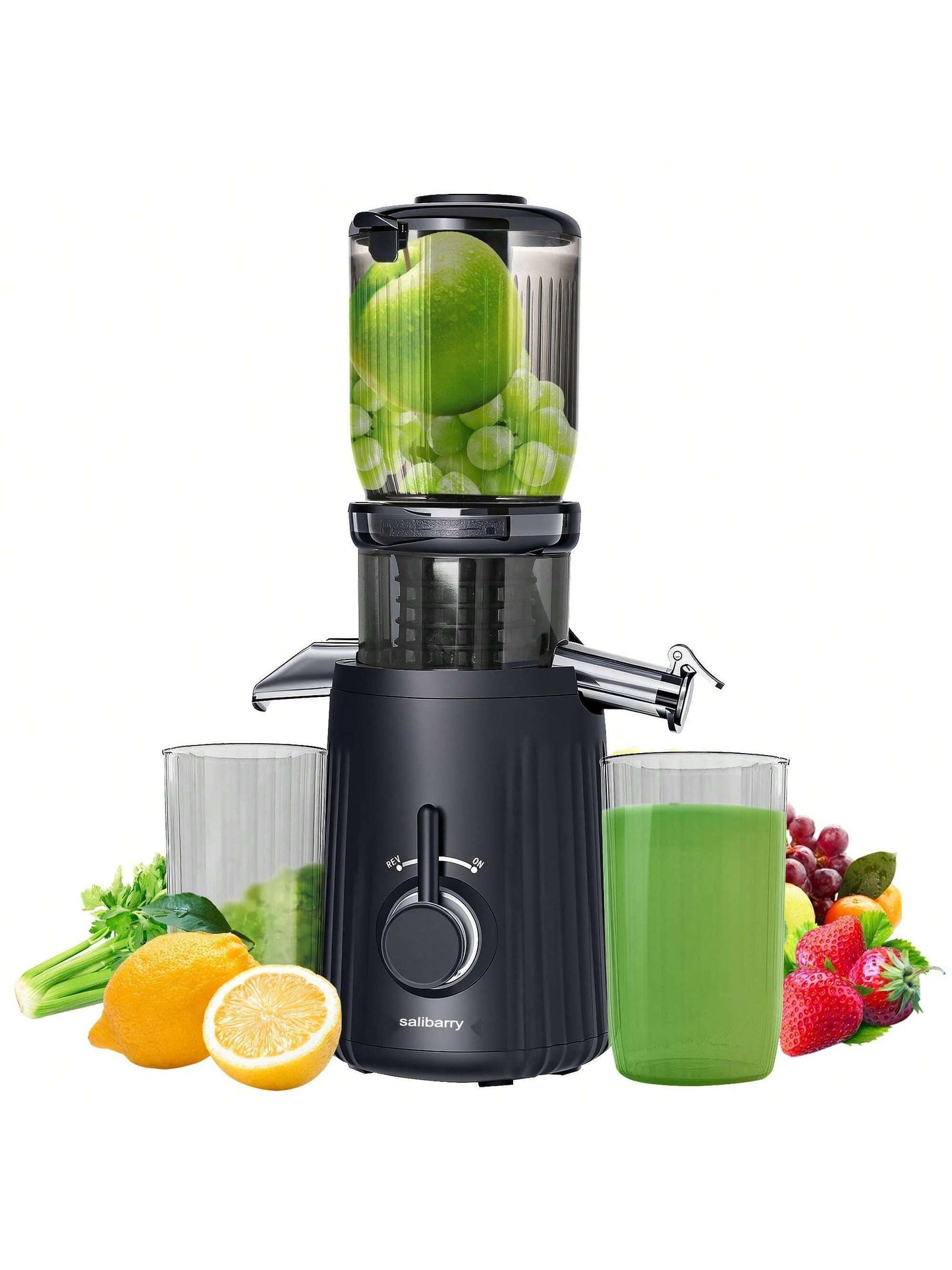 Salibarry Cold Press Juicer, Salibarry Slow Masticating Juicer Machines with 4.1" Large Feed Chute Fit Whole Vegetable and Fruit, Self Feeding Slow Juicer Easy to Clean, Quiet Motor Fruit Presses for Household Purposes