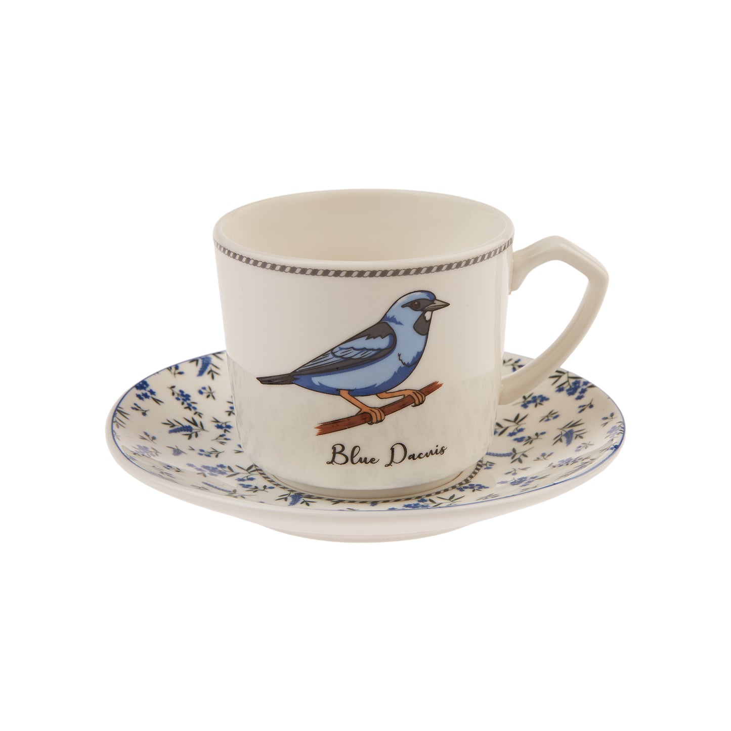 Karaca Vogel Set of 6 Coffee Cups