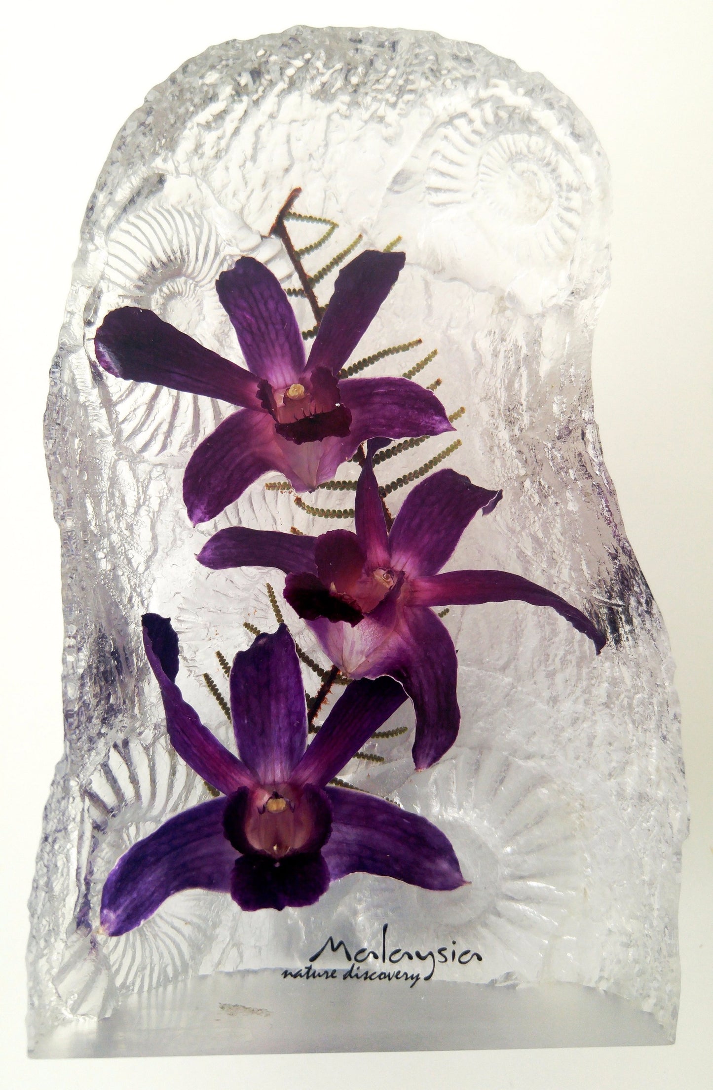 Orchids Acrylic