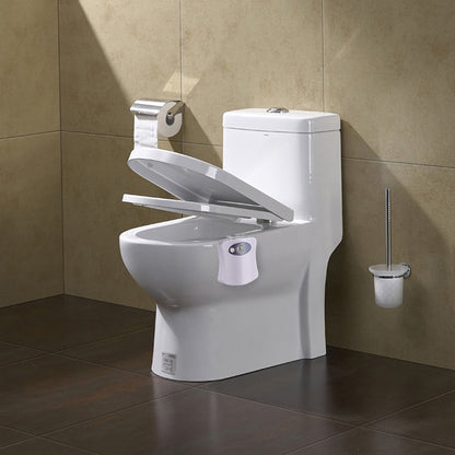 Package of Motion & Sensor Toilet LED Light