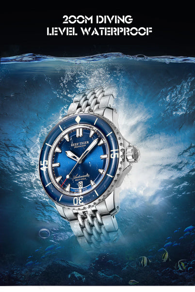 Luxury Diving Reef Tiger 6 Watch