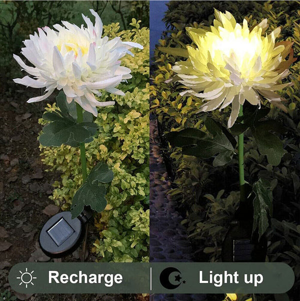 Chrysanthemum LED Solar Light